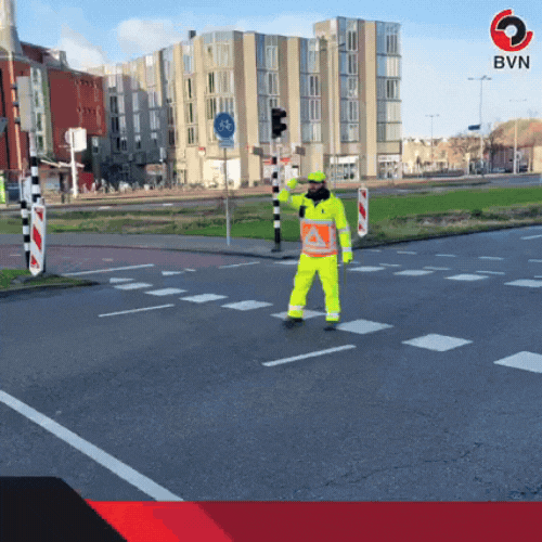 verkeersregelaars